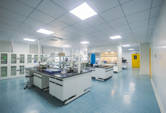 新建透皮给药创新制剂研发实验室和中试生产车间正式投入使用